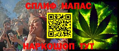 сатива Моздок