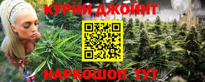 сатива Моздок