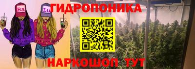 сатива Моздок