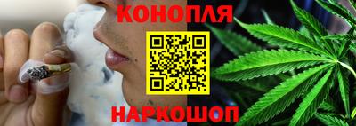 гашик Можга