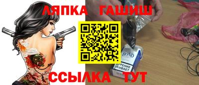гашик Можга