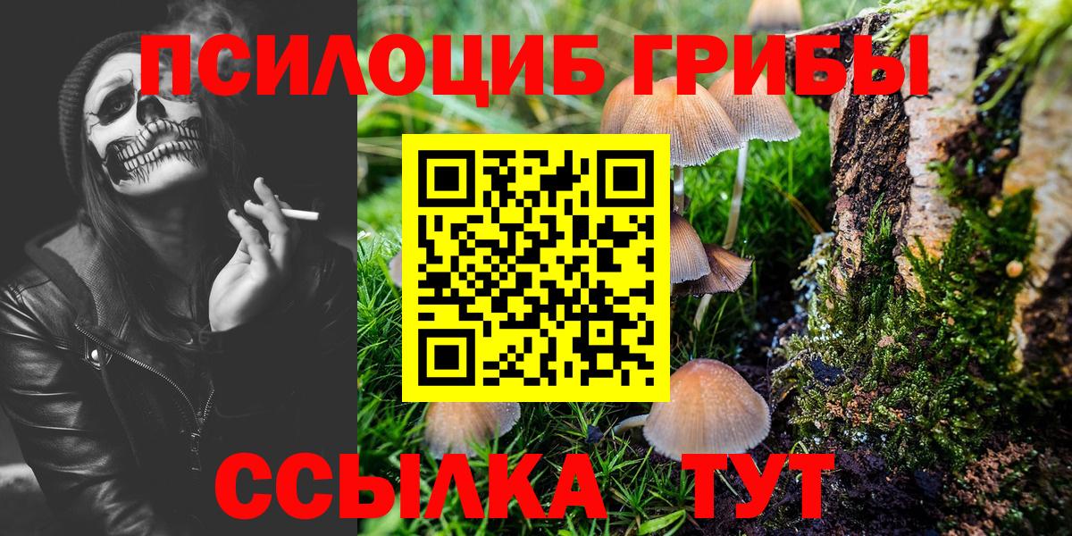 Псилоцибиновые грибы Magic Shrooms  Вход с VPN  Хасавюрт  Псилоцибиновые грибы GOLDEN TEACHER 