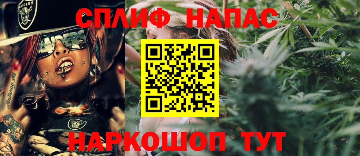 Конопля индика Хасавюрт